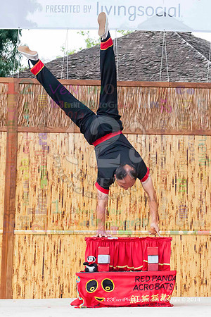 2014 Red Panda Acrobats @ The San Diego Zoo Safari Park