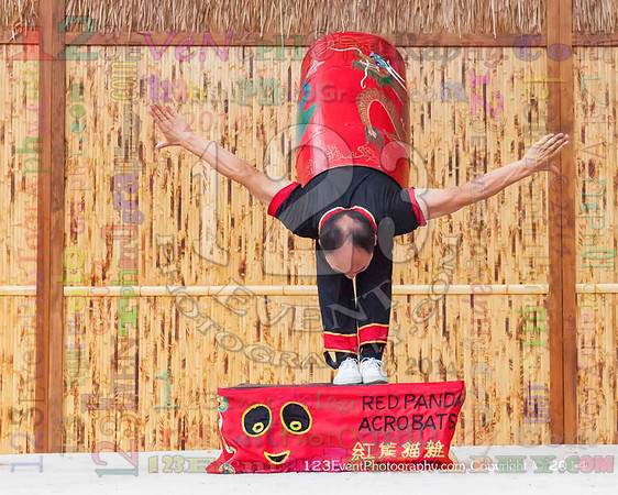 2014 Red Panda Acrobats @ The San Diego Zoo Safari Park