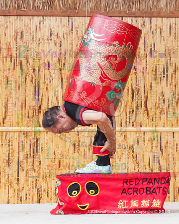 2014 Red Panda Acrobats @ The San Diego Zoo Safari Park