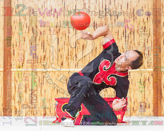 2014 Red Panda Acrobats @ The San Diego Zoo Safari Park