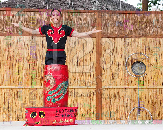 2014 Red Panda Acrobats @ The San Diego Zoo Safari Park