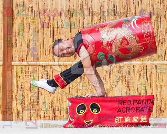 2014 Red Panda Acrobats @ The San Diego Zoo Safari Park
