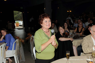 2010 Ken & Lisa's Wedding Reception