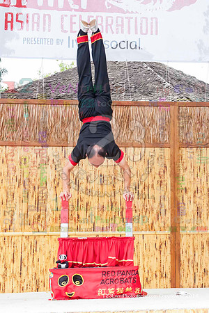 2014 Red Panda Acrobats @ The San Diego Zoo Safari Park