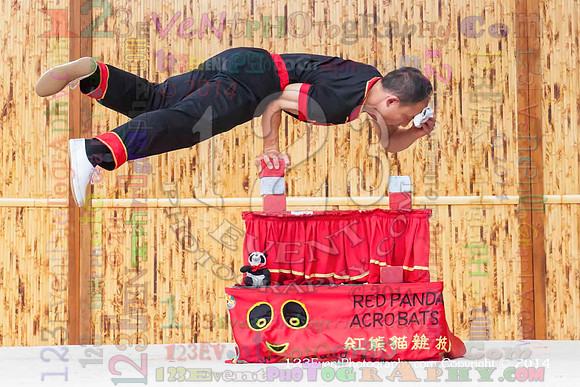 2014 Red Panda Acrobats @ The San Diego Zoo Safari Park
