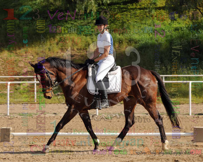 International Equestrian Center 2-13-11