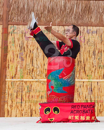 2014 Red Panda Acrobats @ The San Diego Zoo Safari Park