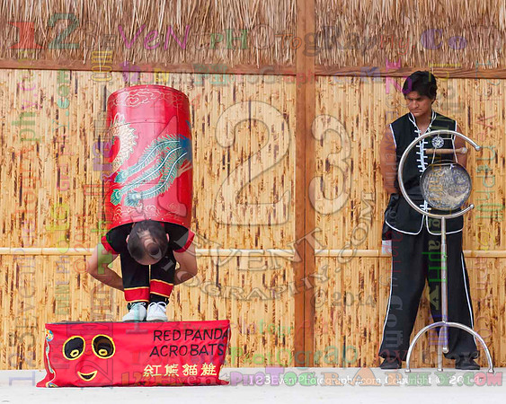 2014 Red Panda Acrobats @ The San Diego Zoo Safari Park