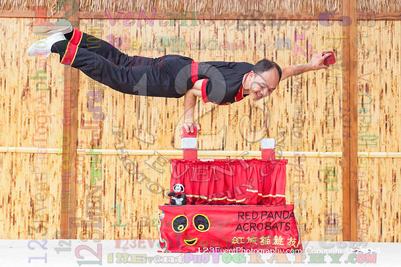 2014 Red Panda Acrobats @ The San Diego Zoo Safari Park