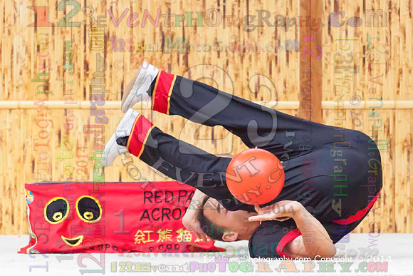 2014 Red Panda Acrobats @ The San Diego Zoo Safari Park