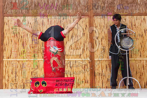 2014 Red Panda Acrobats @ The San Diego Zoo Safari Park