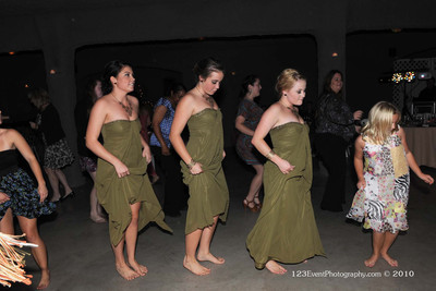 2010 Ken & Lisa's Wedding Reception