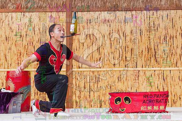 2014 Red Panda Acrobats @ The San Diego Zoo Safari Park