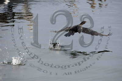 Pacific Nature Tours - 8 Hour Cruise to Coronado Islands