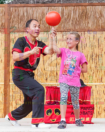 2014 Red Panda Acrobats @ The San Diego Zoo Safari Park