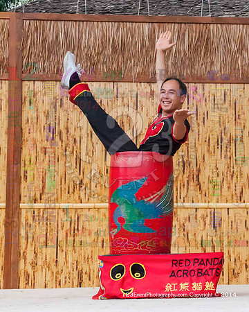 2014 Red Panda Acrobats @ The San Diego Zoo Safari Park
