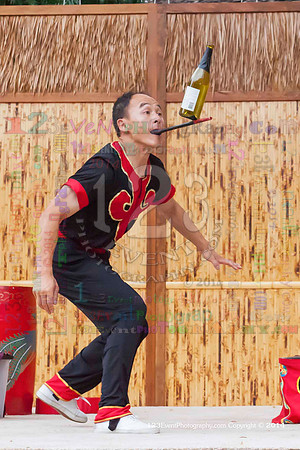 2014 Red Panda Acrobats @ The San Diego Zoo Safari Park