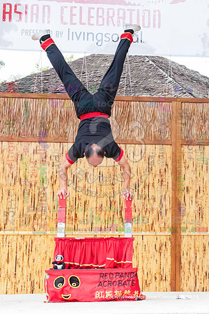 2014 Red Panda Acrobats @ The San Diego Zoo Safari Park