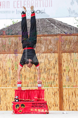 2014 Red Panda Acrobats @ The San Diego Zoo Safari Park