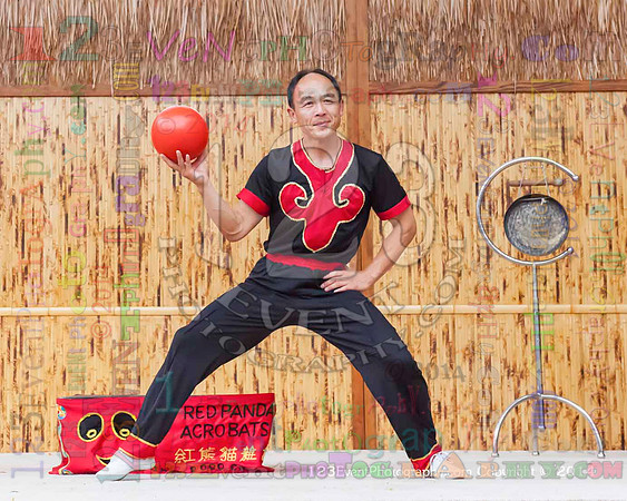 2014 Red Panda Acrobats @ The San Diego Zoo Safari Park