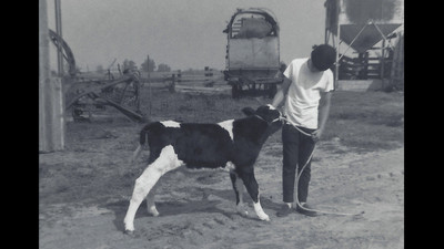 John Borba 1952 - 2025
