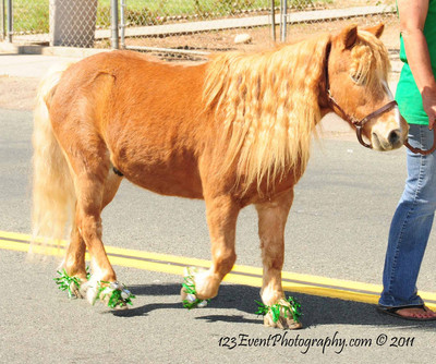 2011 Lakeside Western Days Parade