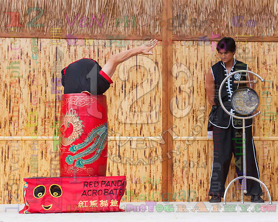 2014 Red Panda Acrobats @ The San Diego Zoo Safari Park