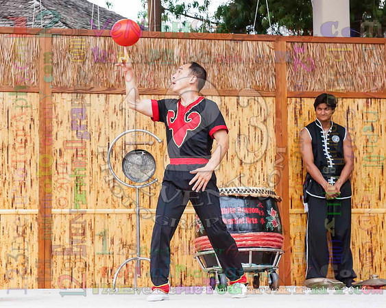 2014 Red Panda Acrobats @ The San Diego Zoo Safari Park