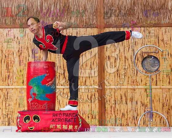 2014 Red Panda Acrobats @ The San Diego Zoo Safari Park