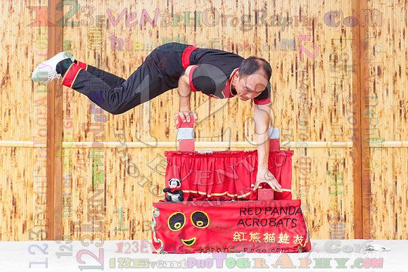 2014 Red Panda Acrobats @ The San Diego Zoo Safari Park