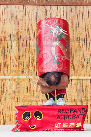 2014 Red Panda Acrobats @ The San Diego Zoo Safari Park