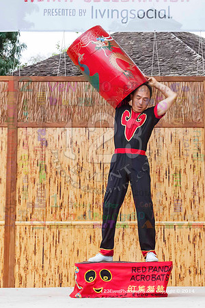 2014 Red Panda Acrobats @ The San Diego Zoo Safari Park