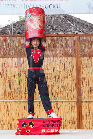 2014 Red Panda Acrobats @ The San Diego Zoo Safari Park