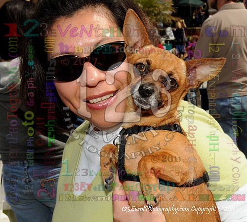 16th Annual Ugly Dog Contest - Del Mar Kiwanis Club